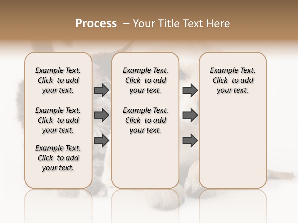 Market Glass Summer PowerPoint Template