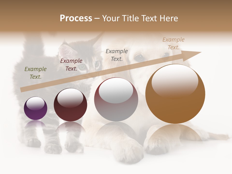 Market Glass Summer PowerPoint Template