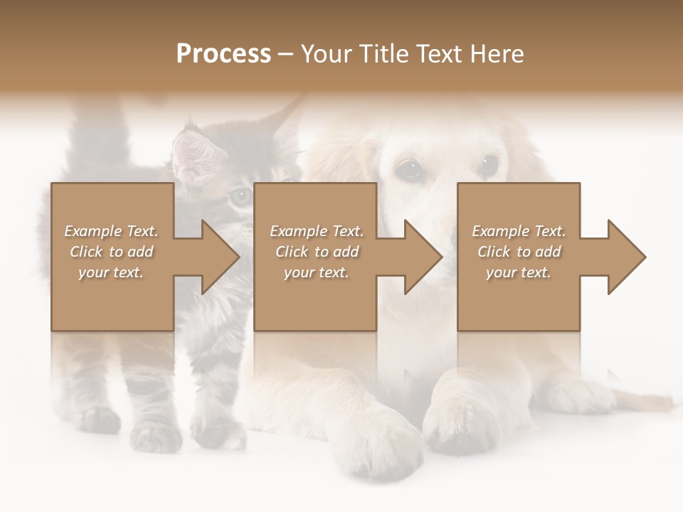 Market Glass Summer PowerPoint Template