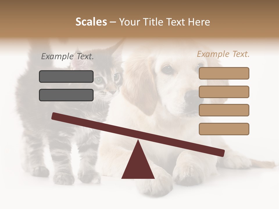 Market Glass Summer PowerPoint Template