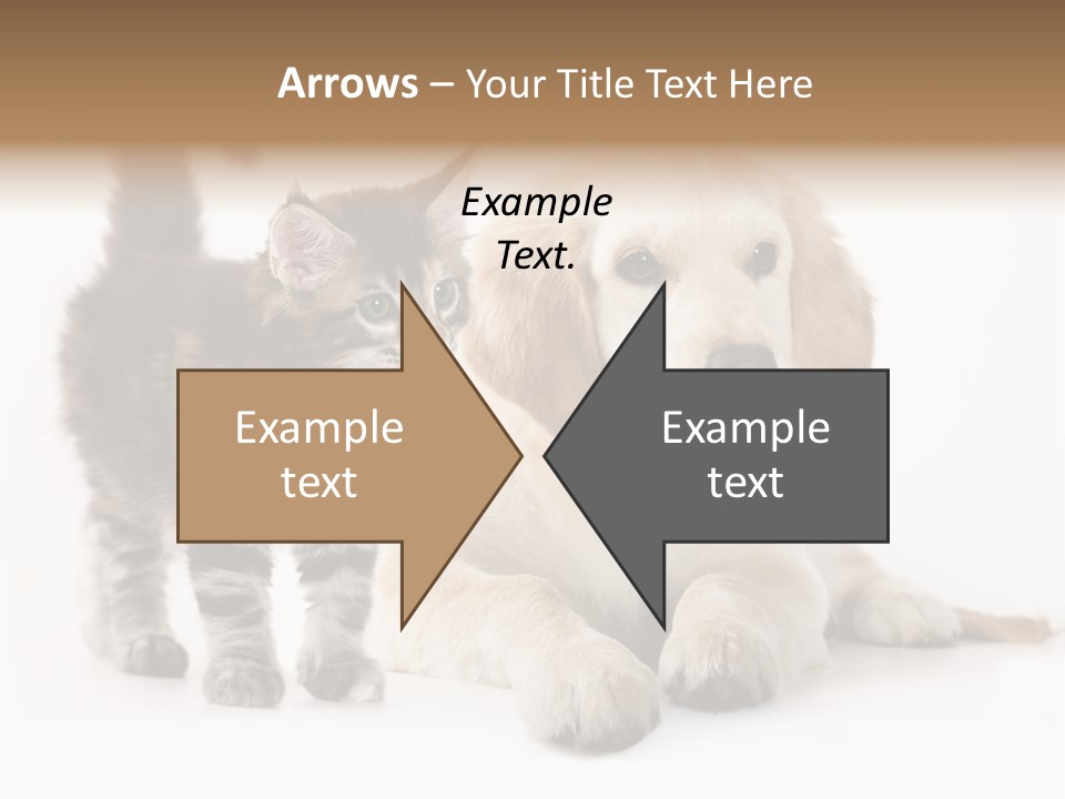 Market Glass Summer PowerPoint Template