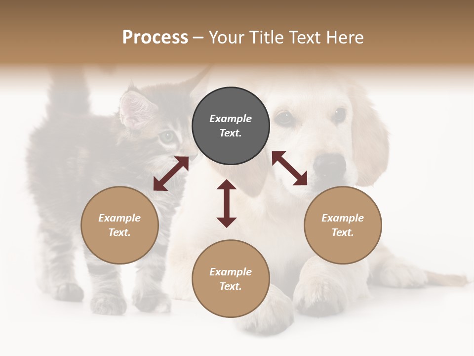 Market Glass Summer PowerPoint Template