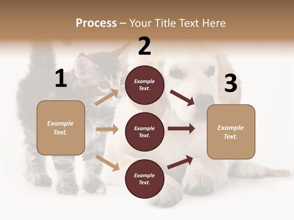 Market Glass Summer PowerPoint Template