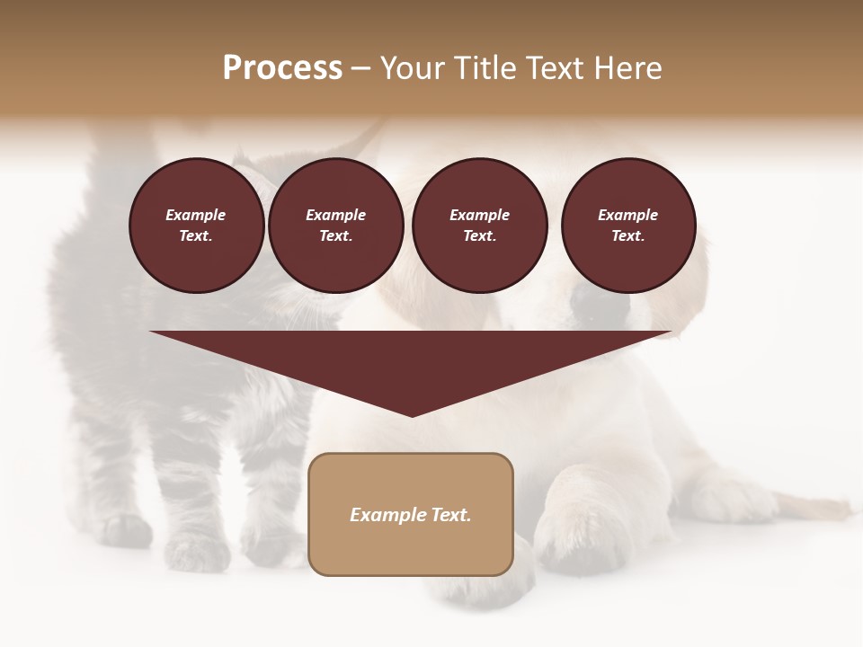 Market Glass Summer PowerPoint Template