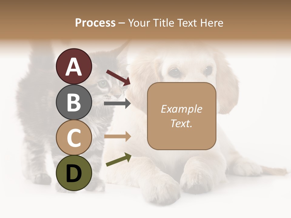 Market Glass Summer PowerPoint Template