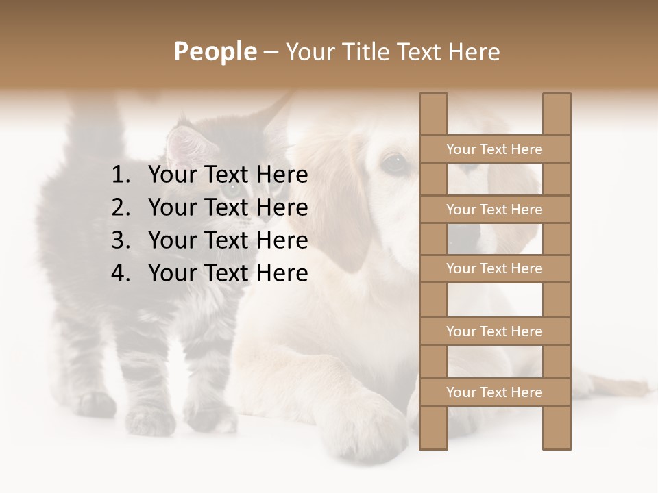 Market Glass Summer PowerPoint Template