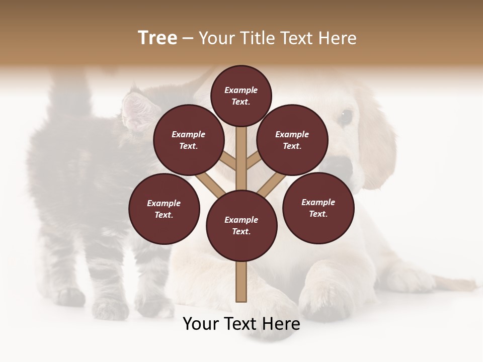 Market Glass Summer PowerPoint Template