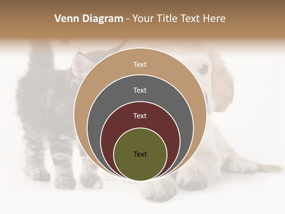 Market Glass Summer PowerPoint Template