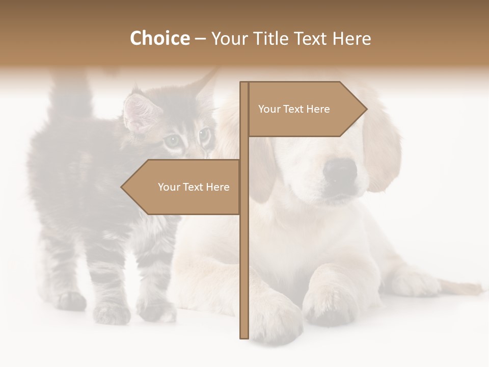 Market Glass Summer PowerPoint Template