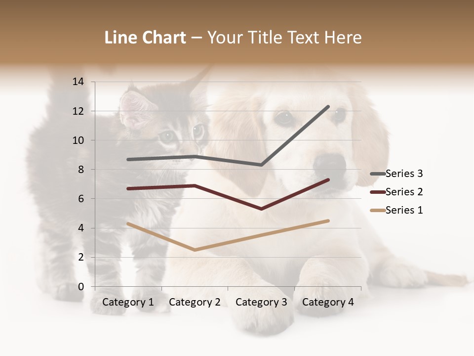 Market Glass Summer PowerPoint Template
