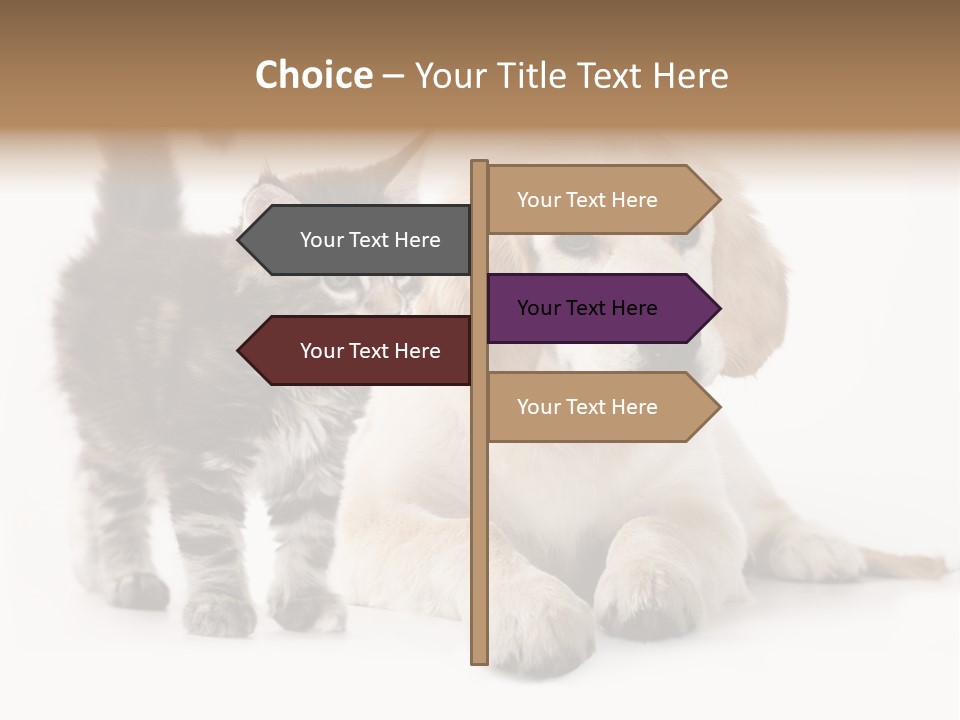 Market Glass Summer PowerPoint Template