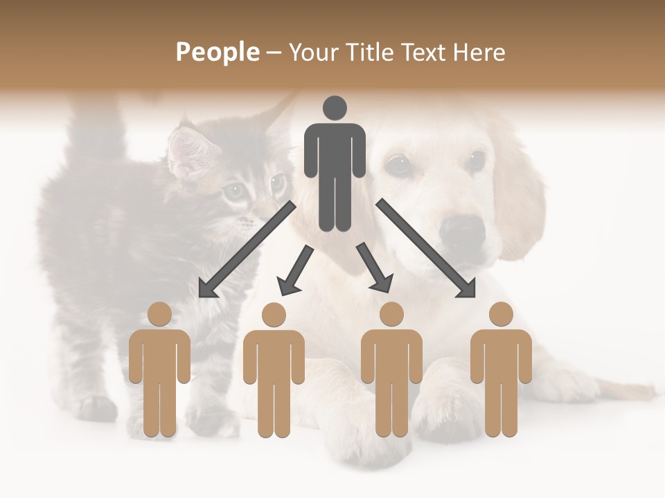 Market Glass Summer PowerPoint Template