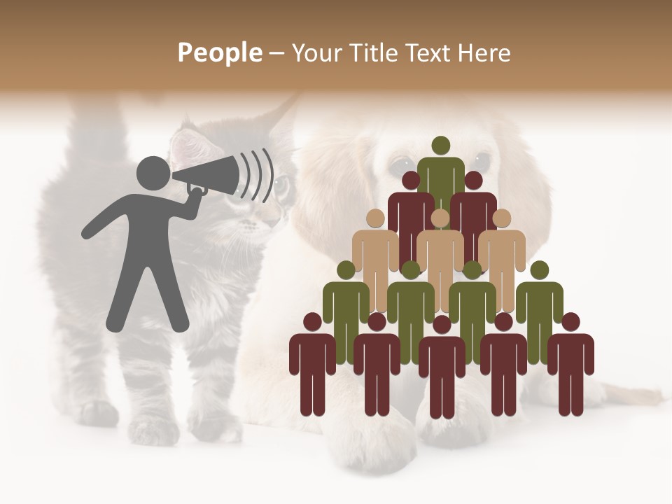 Market Glass Summer PowerPoint Template