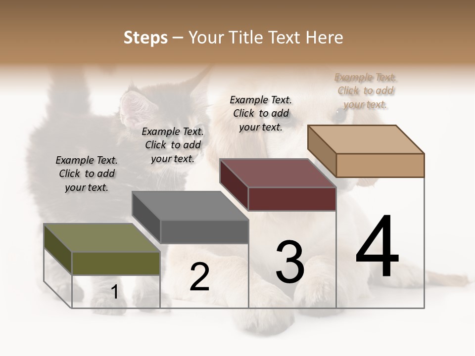 Market Glass Summer PowerPoint Template