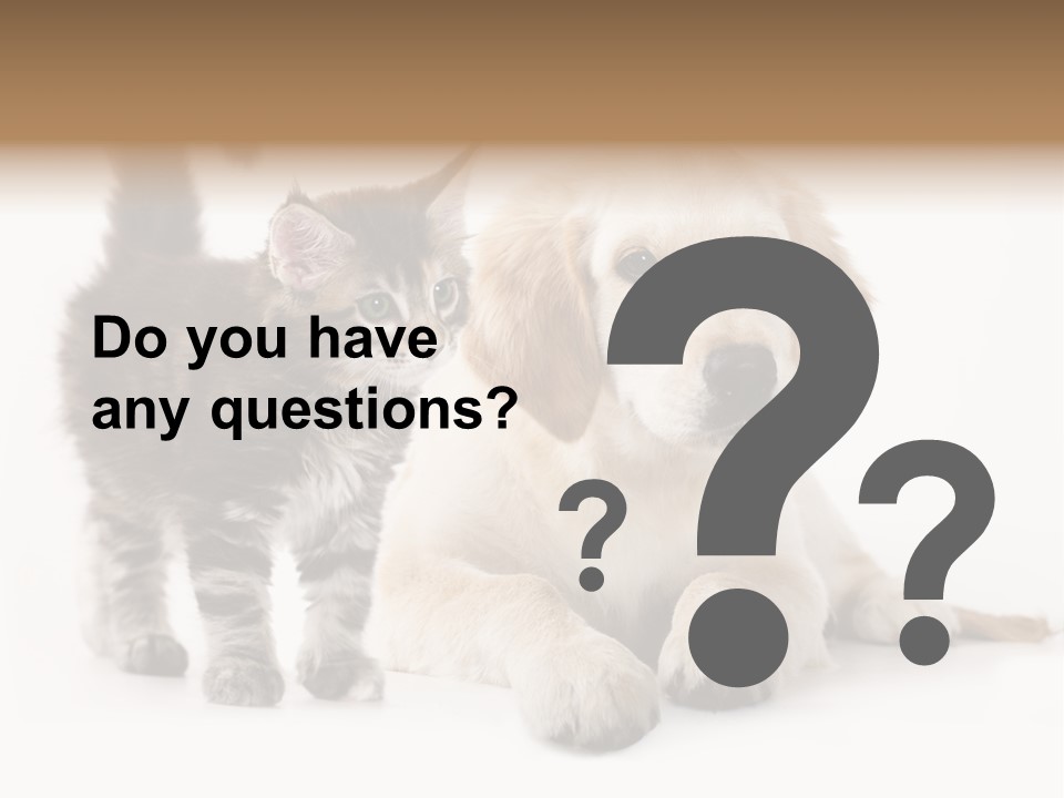 Market Glass Summer PowerPoint Template