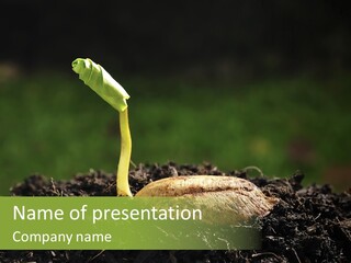 One Water Young PowerPoint Template