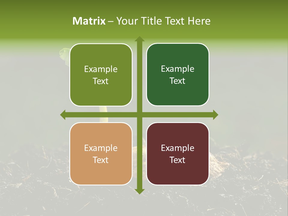 One Water Young PowerPoint Template