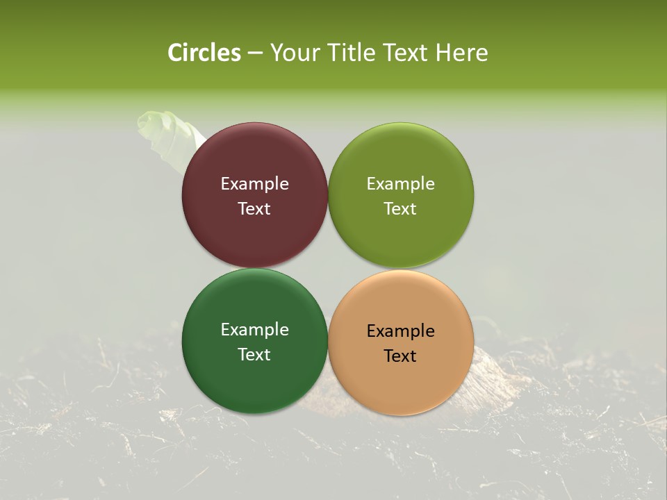 One Water Young PowerPoint Template