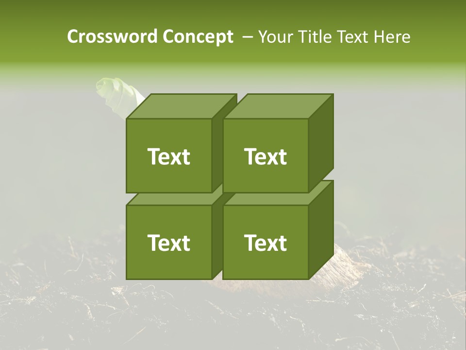 One Water Young PowerPoint Template