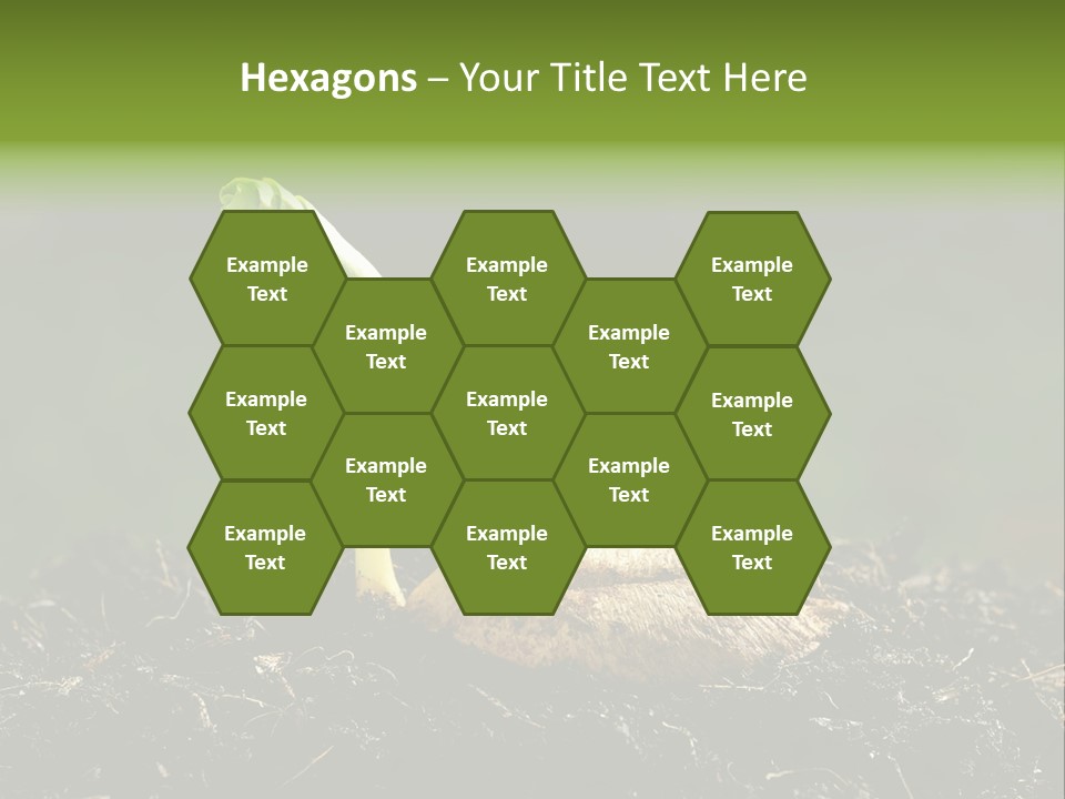 One Water Young PowerPoint Template