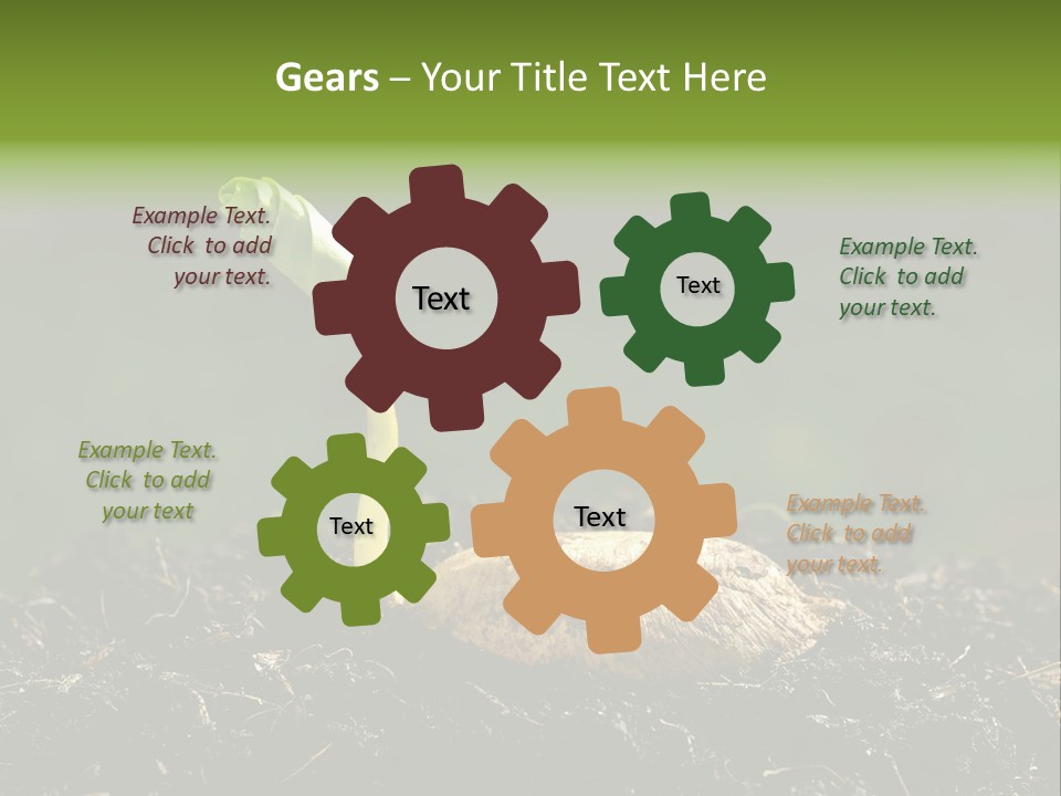 One Water Young PowerPoint Template