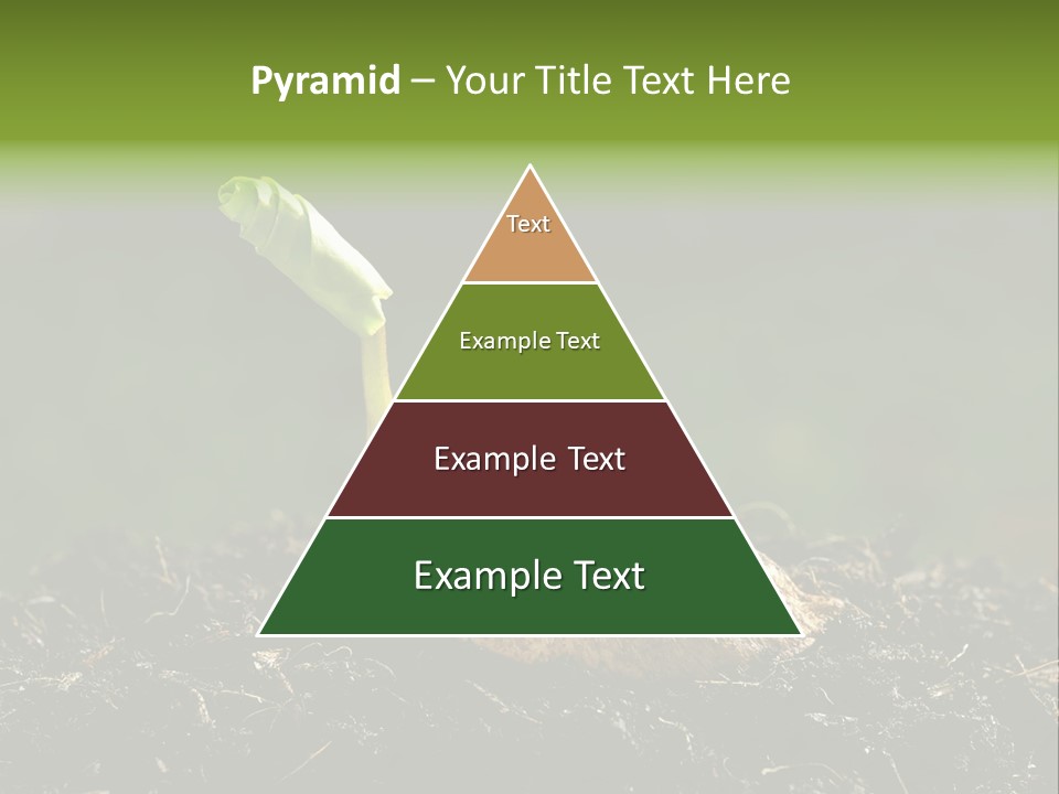 One Water Young PowerPoint Template