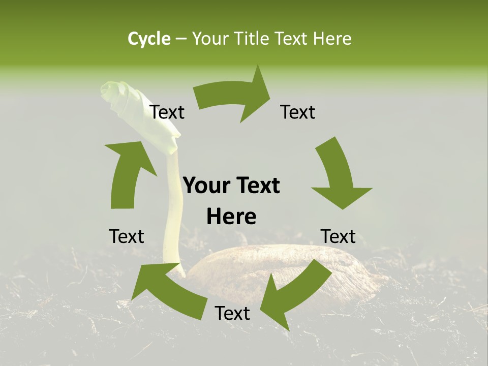 One Water Young PowerPoint Template