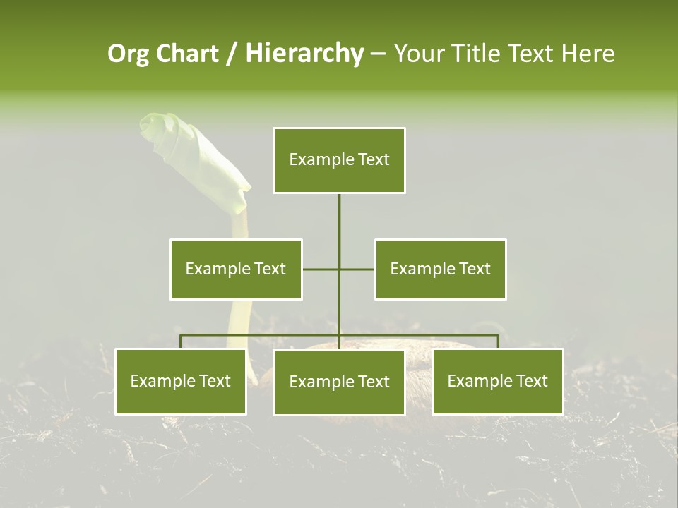 One Water Young PowerPoint Template