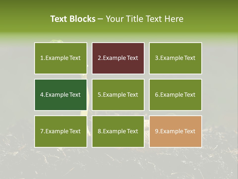 One Water Young PowerPoint Template