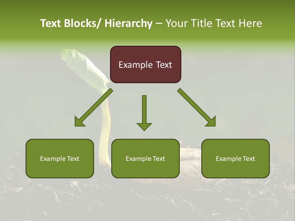 One Water Young PowerPoint Template