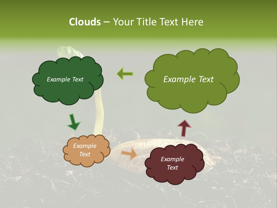 One Water Young PowerPoint Template