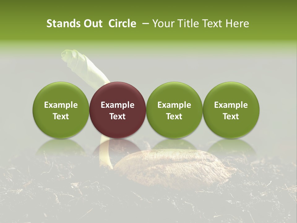 One Water Young PowerPoint Template