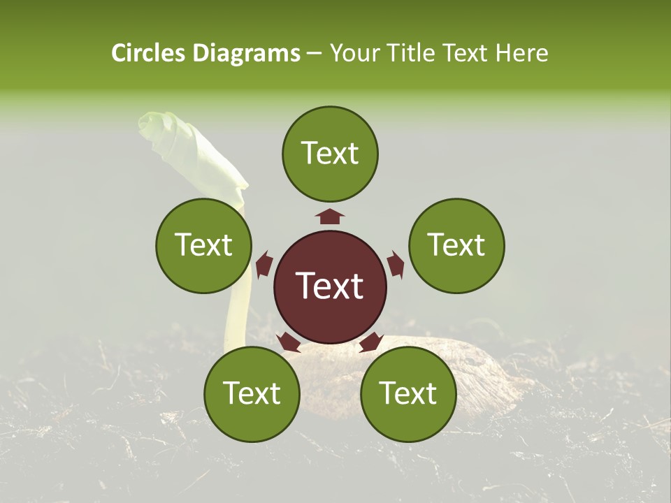 One Water Young PowerPoint Template