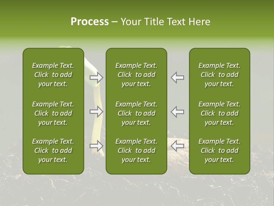 One Water Young PowerPoint Template