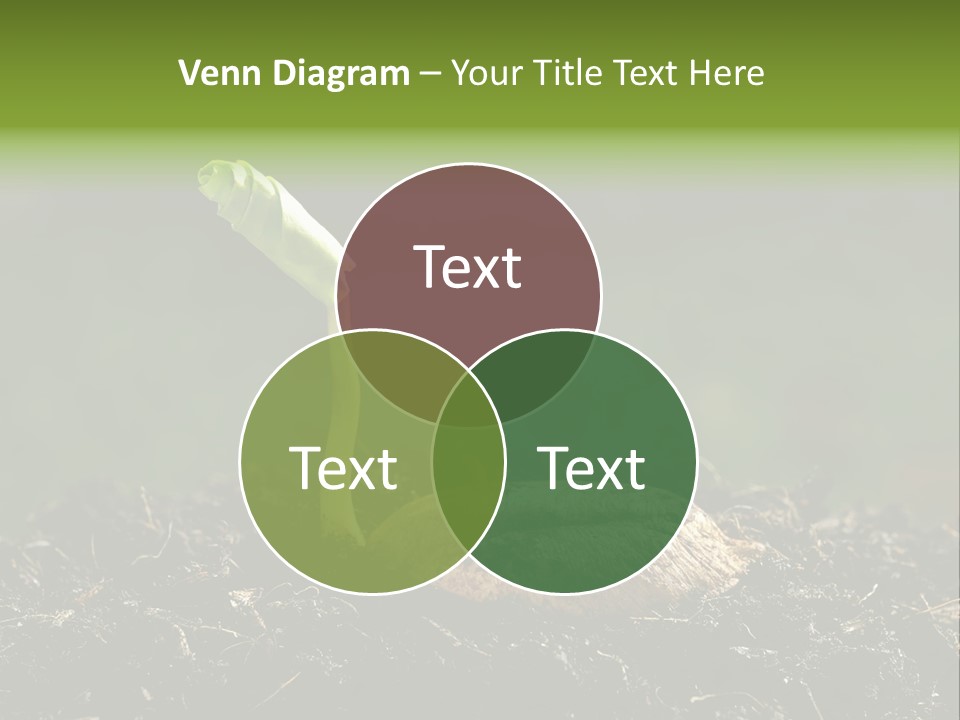 One Water Young PowerPoint Template