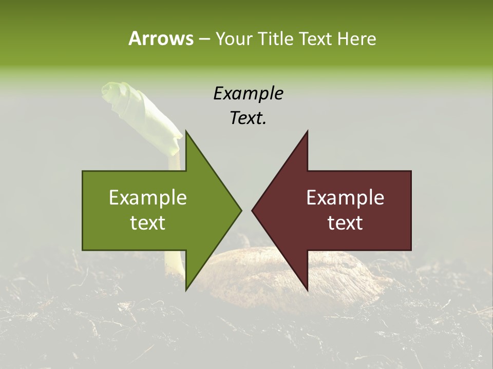 One Water Young PowerPoint Template