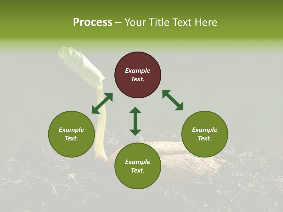 One Water Young PowerPoint Template