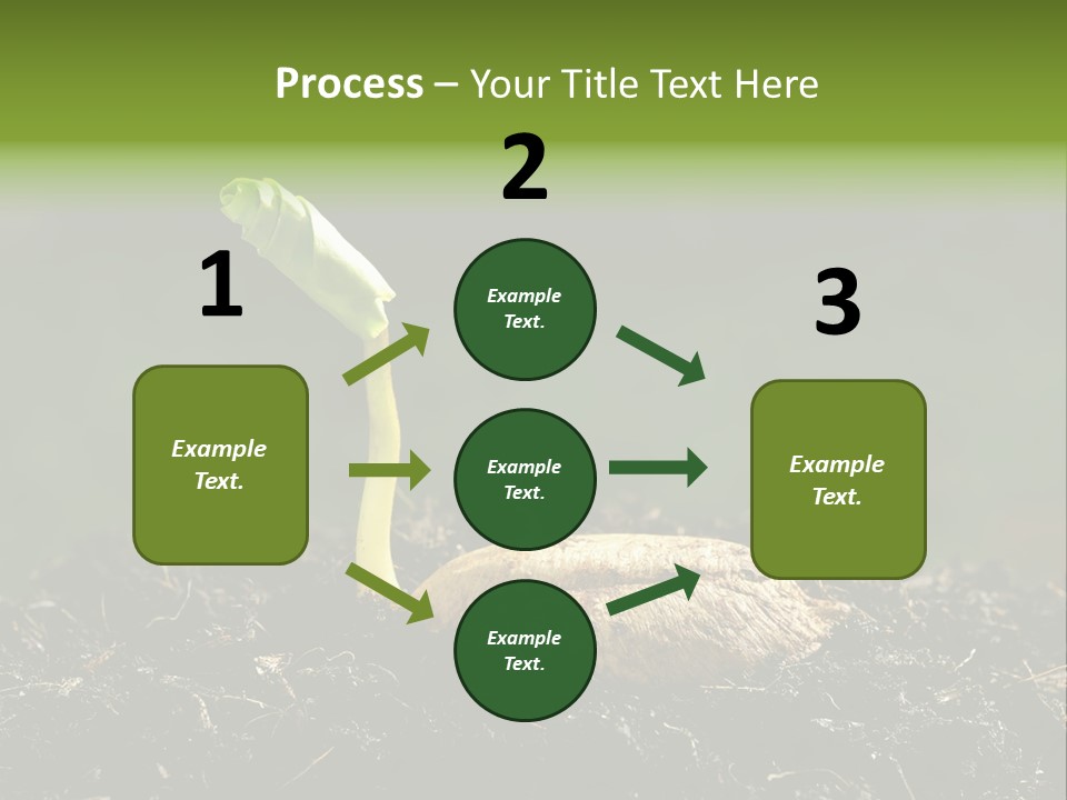 One Water Young PowerPoint Template