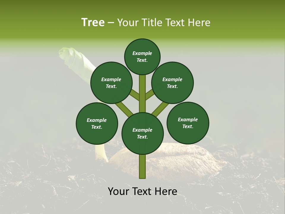 One Water Young PowerPoint Template