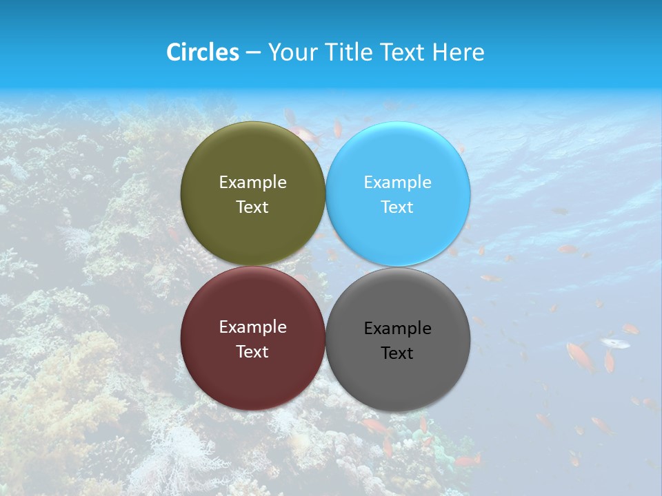 Scuba Diving Sinai Ocean PowerPoint Template