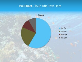 Scuba Diving Sinai Ocean PowerPoint Template