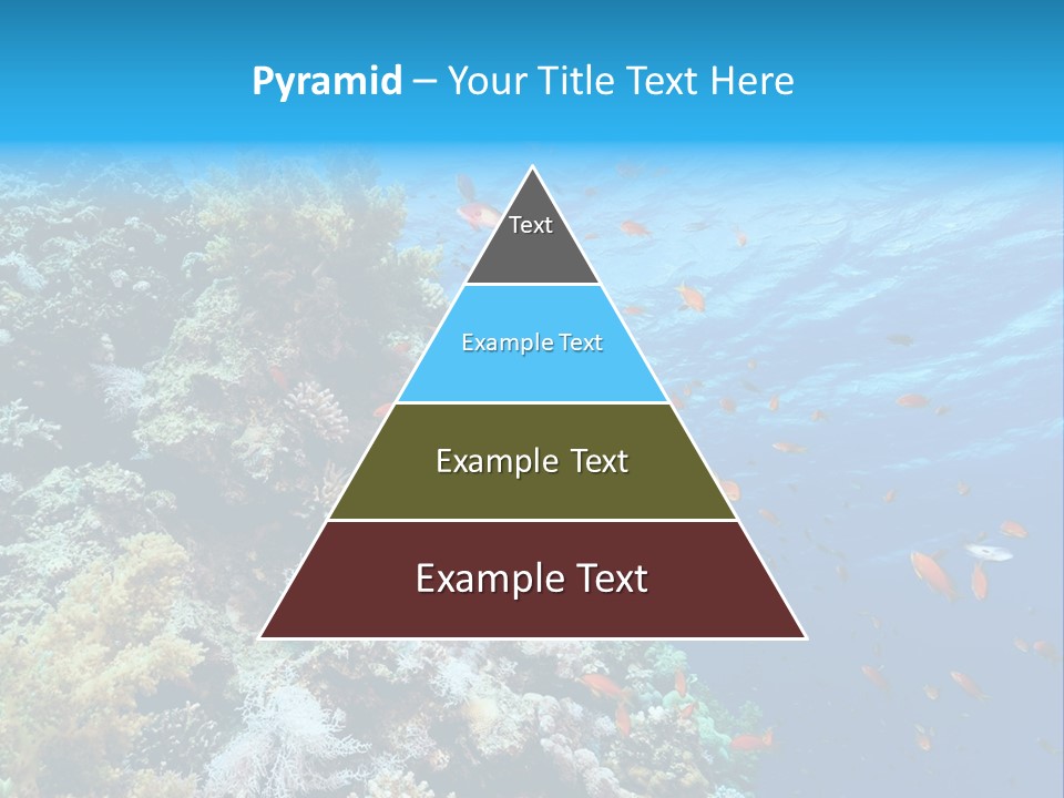 Scuba Diving Sinai Ocean PowerPoint Template