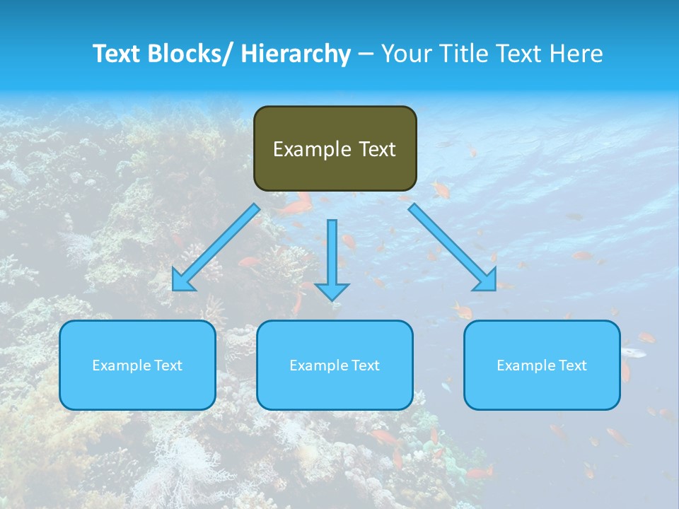 Scuba Diving Sinai Ocean PowerPoint Template