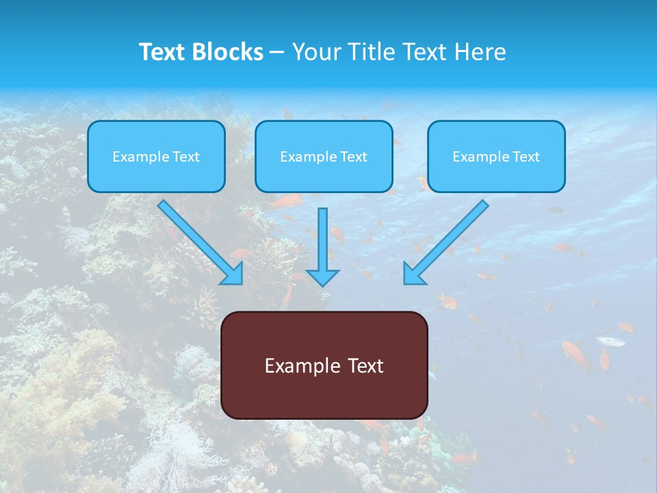 Scuba Diving Sinai Ocean PowerPoint Template