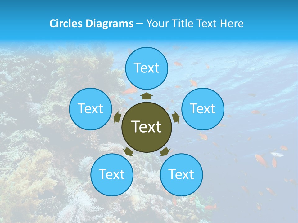 Scuba Diving Sinai Ocean PowerPoint Template