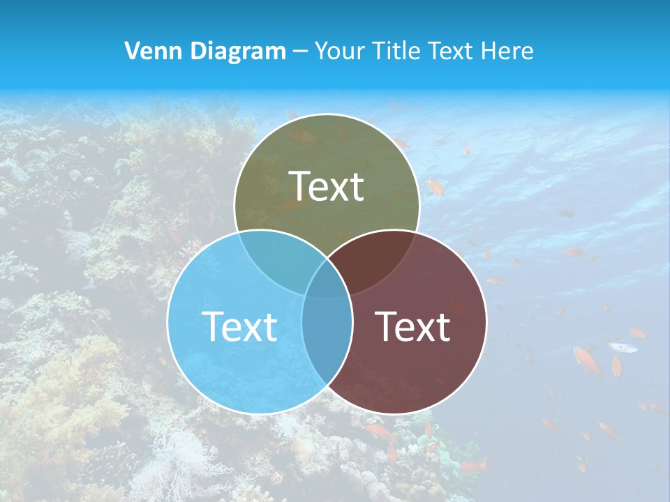 Scuba Diving Sinai Ocean PowerPoint Template