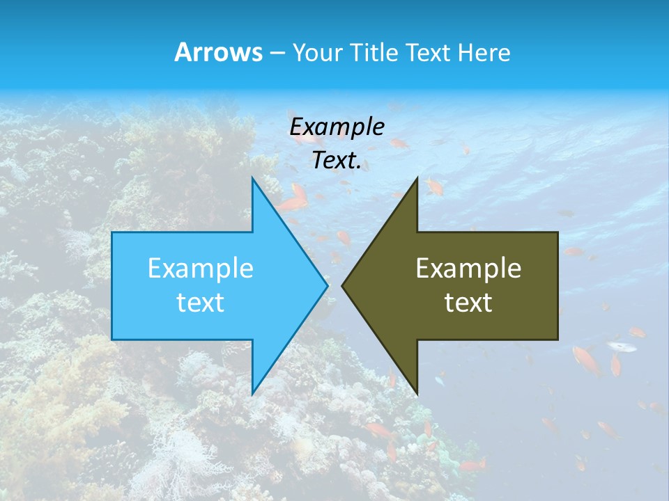 Scuba Diving Sinai Ocean PowerPoint Template