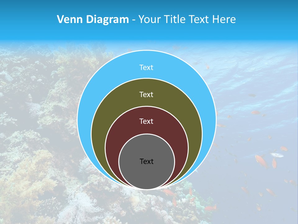Scuba Diving Sinai Ocean PowerPoint Template