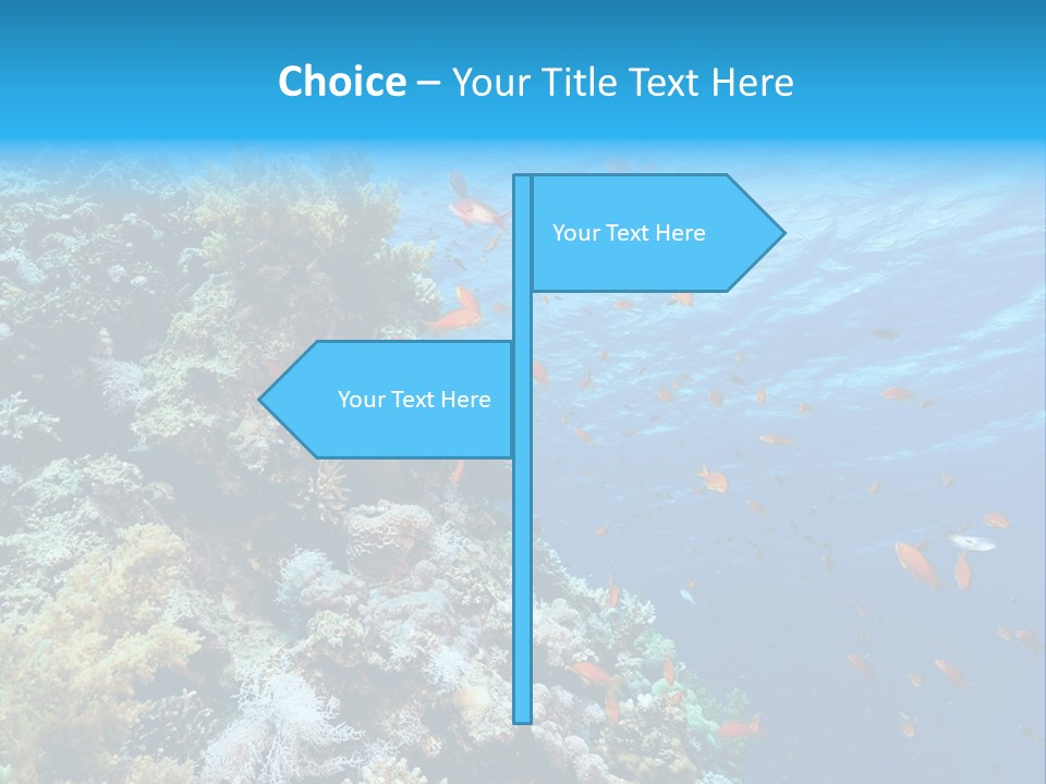 Scuba Diving Sinai Ocean PowerPoint Template