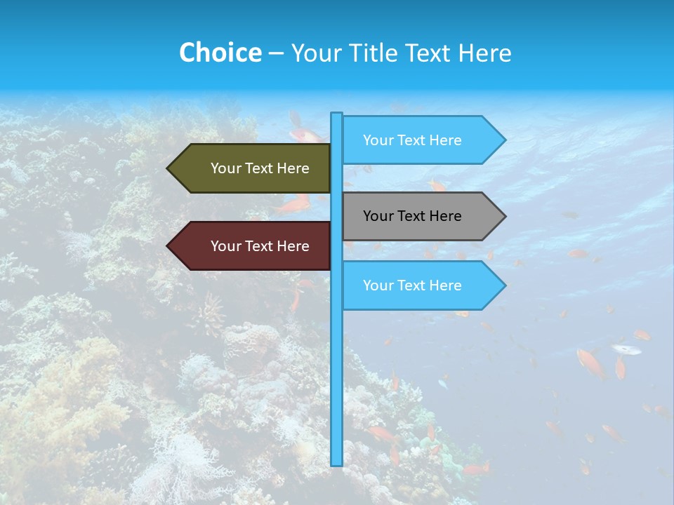 Scuba Diving Sinai Ocean PowerPoint Template